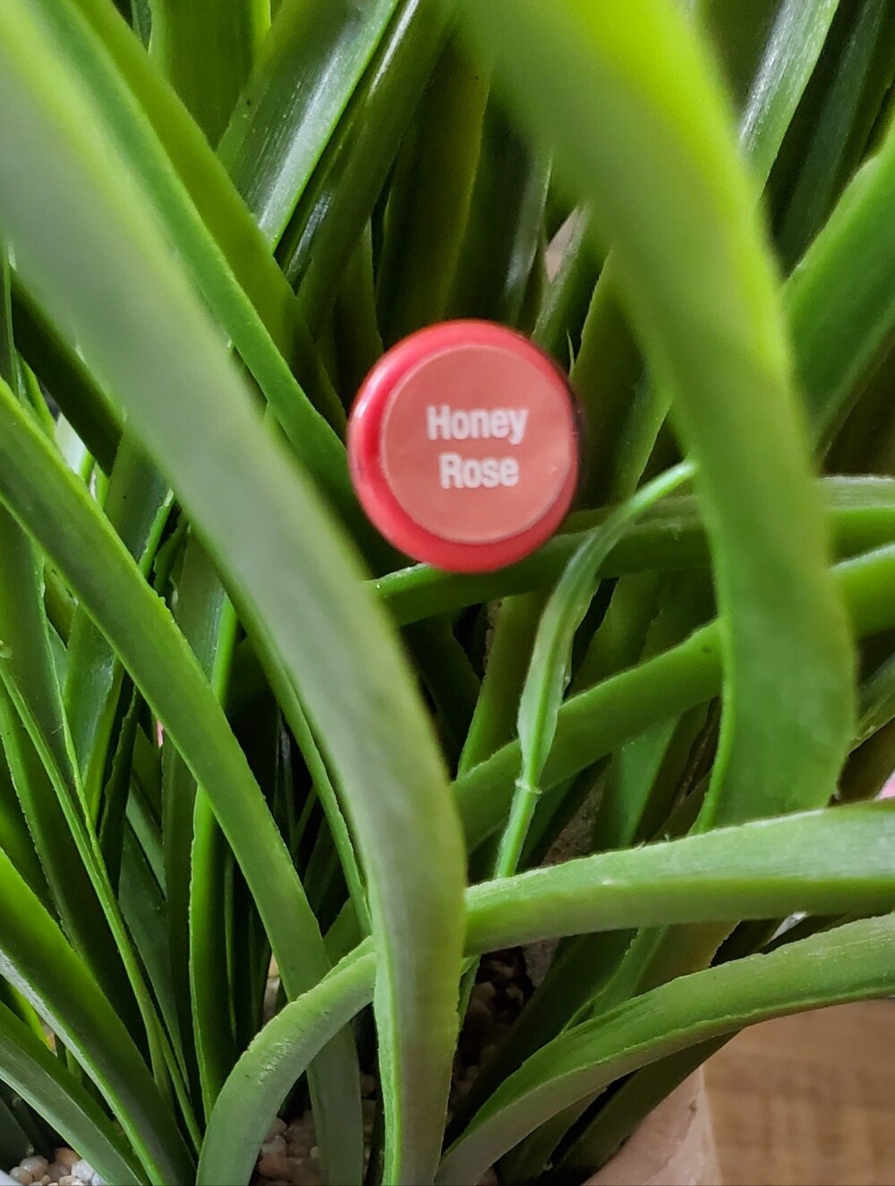 HONEY ROSE LipSense - Picture 8 of 8